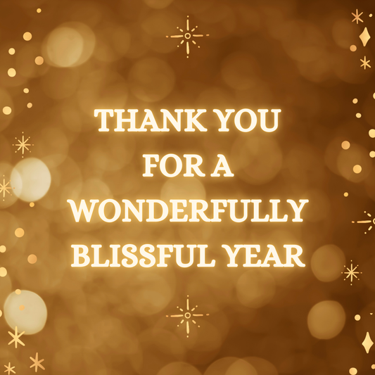 2024 Wrapped: A Year of Growth, Translations, and New Beginnings